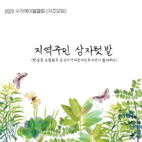 [사회참여지원팀]수지에이블클럽 지역주민 상자텃밭 자조모임 & 빛하모니 지역참여형 통합활동(요리)