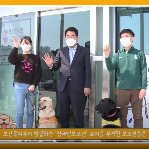 [용인시는 시각장애인 안내견을 환영합니다!] 2탄