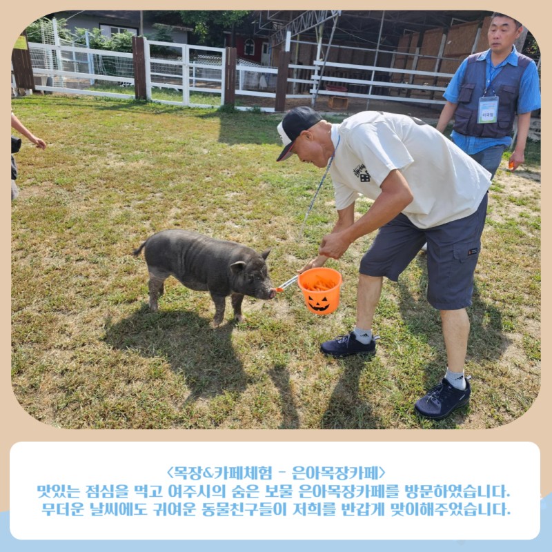 목장&#038;amp;카페체험 - 은아목장카페 맛있는 점심을 먹고 여주시의 숨은 보물 은아목장카페를 방문하였습니다. 무더운 날씨에도 귀여운 동물친구들이 저희를 반갑게 맞이해주었습니다.