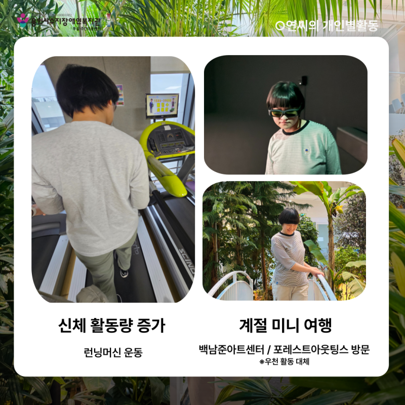개인별활동