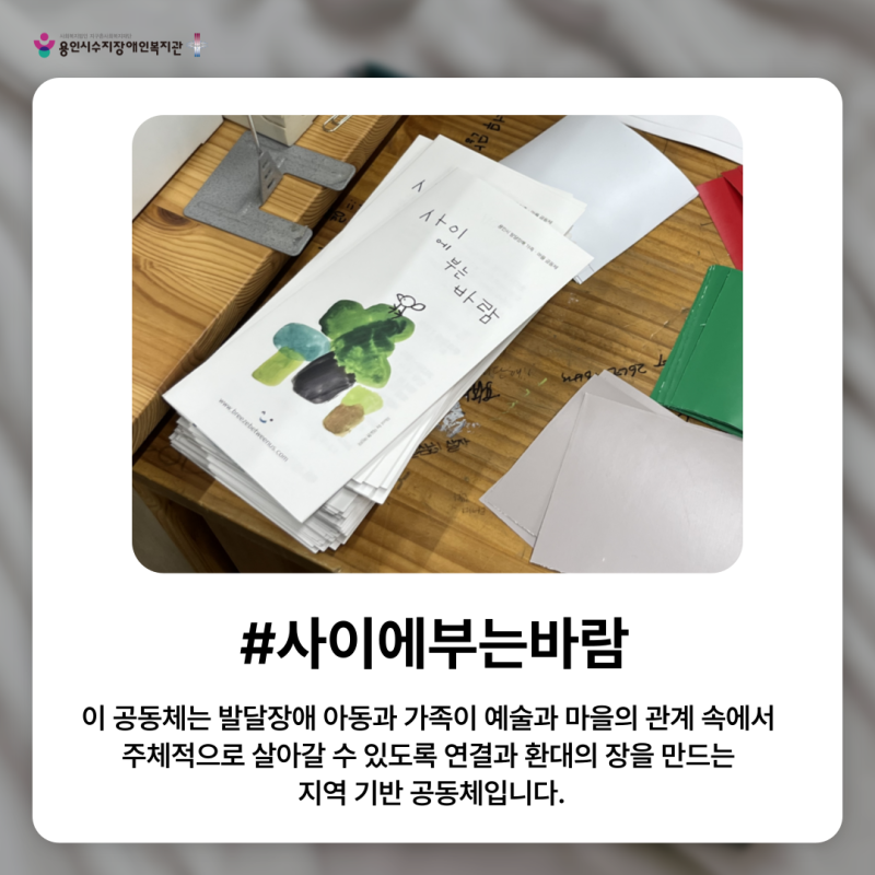 행사내용