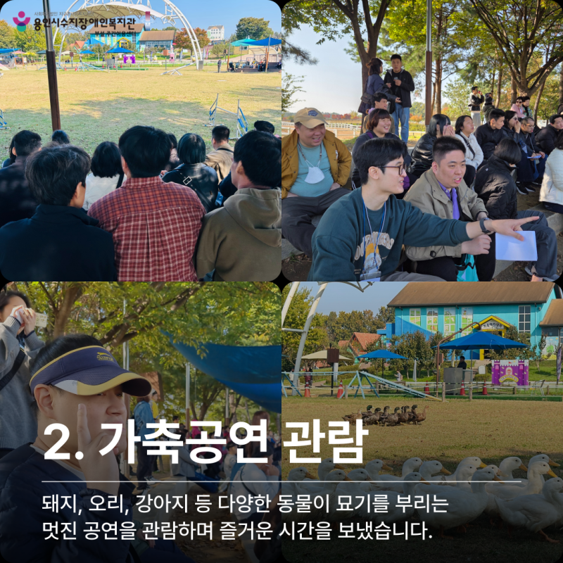가축공연 관람