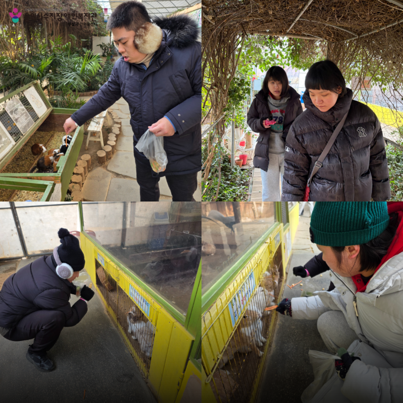 동물 먹이주기 사진