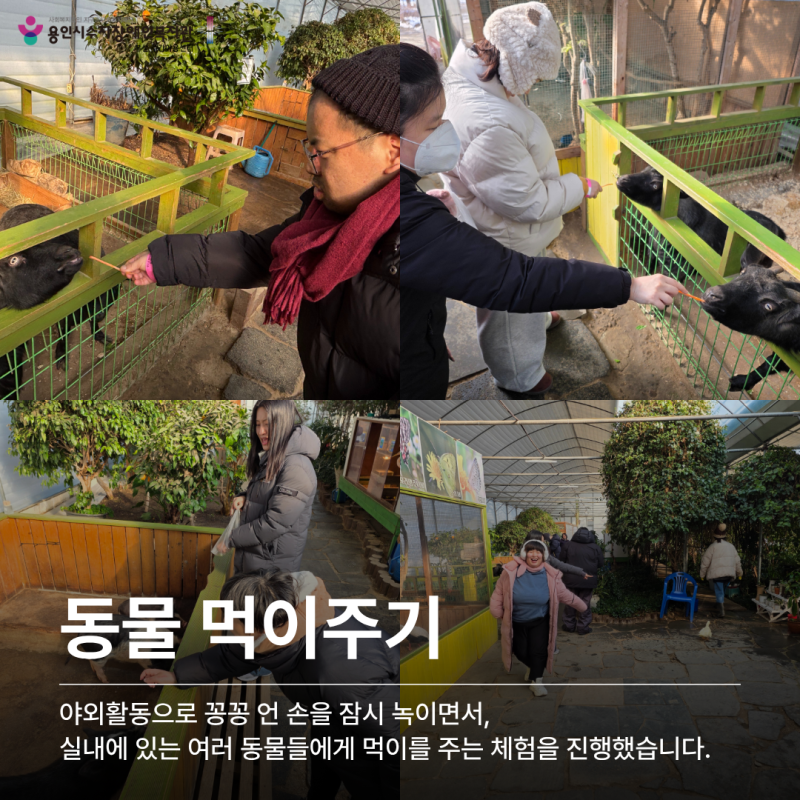 동물 먹이주기 설명 및 사진
