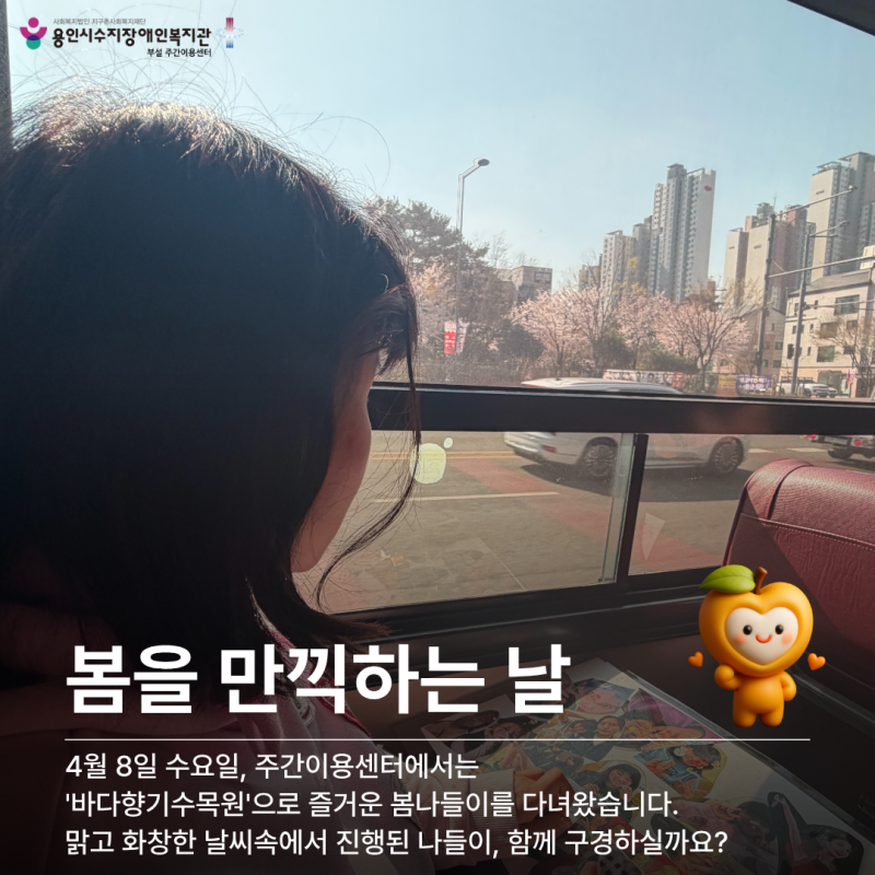 봄나들이 소개