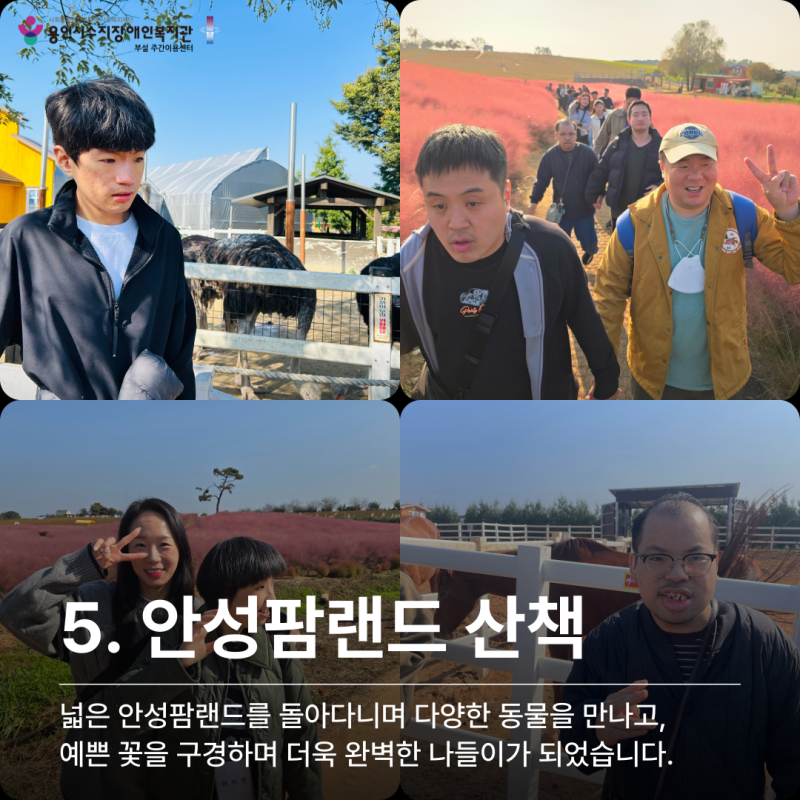 안성팜랜드 산책