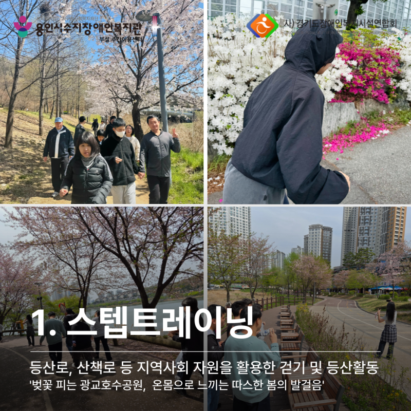 1. 스텝트레이닝: 등산로, 산책로 등 지역사회 자원을 활용한 걷기 및 등산활동