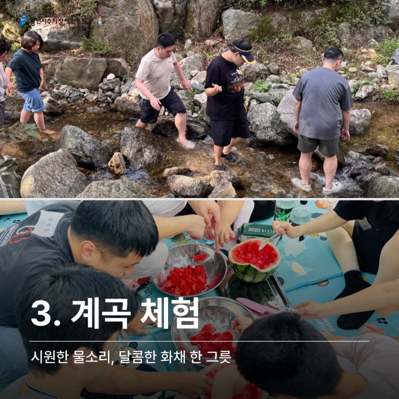 3. 계곡체험: 시원한 물소리, 달콤한 화채 한 그릇