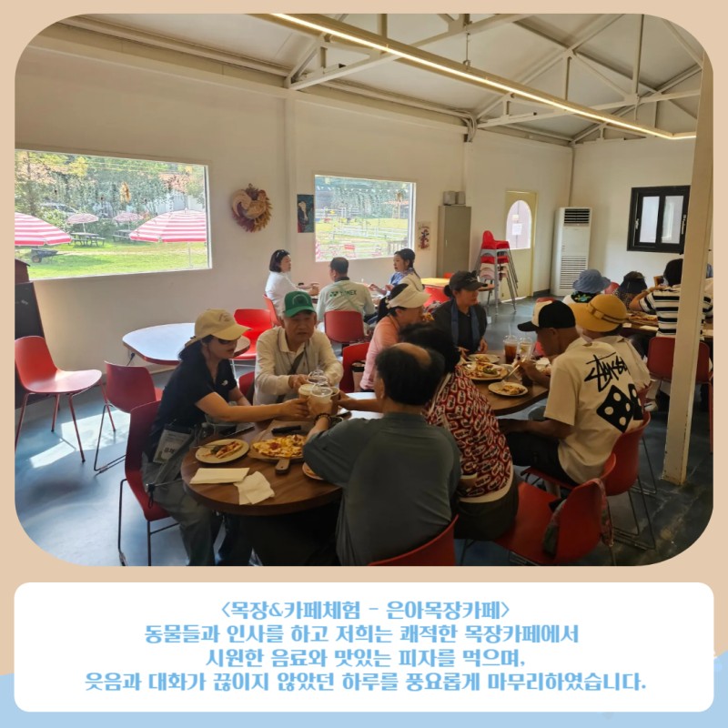 목장&#038;amp;카페체험-은아목장카페 동물들과 인사를 하고 저희는 쾌적한 목장카페에서 시원한 음료와 맛있는 피자를 먹으며, 웃음과 대화가 끊이지 않았던 하루를 풍요롭게 마무리하였습니다.