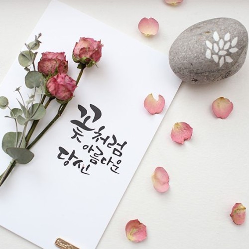 [지역개발] 자원봉사자 나들이