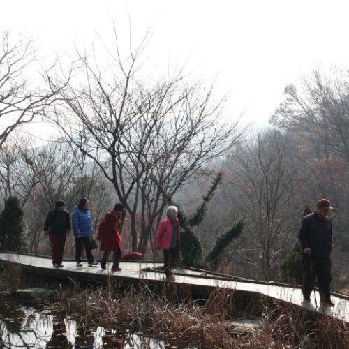 11월 등산동호회