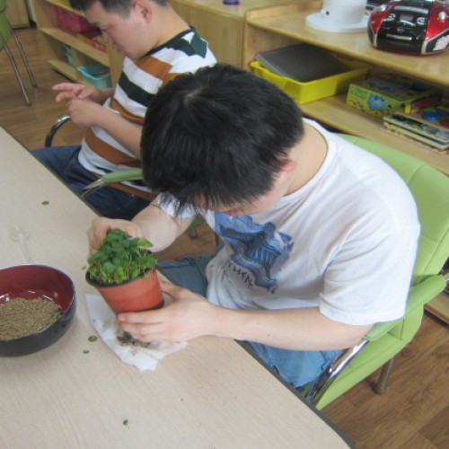[주간보호]원예치료 - 워터코인심기