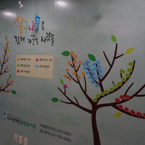 살구나무 포토존 오픈!