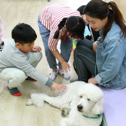 [운영기획]2017년 어린이날 절기행사 반려견과 함께 마음위로