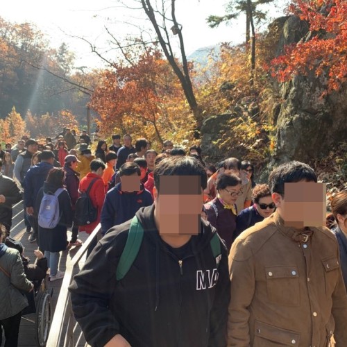 [평생교육팀]수지원트라이프클럽 현장체험
