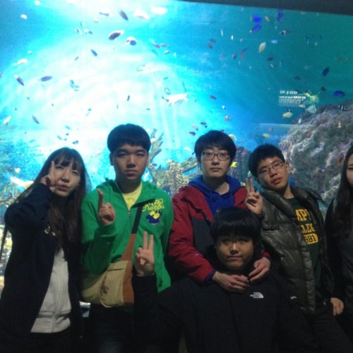 3회 두드림토요문화여가 (아쿠아리움)