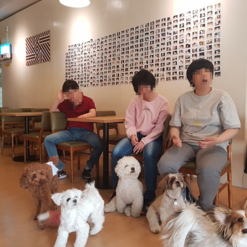 [주간보호] 상반기 생각실천 프로그램 진행