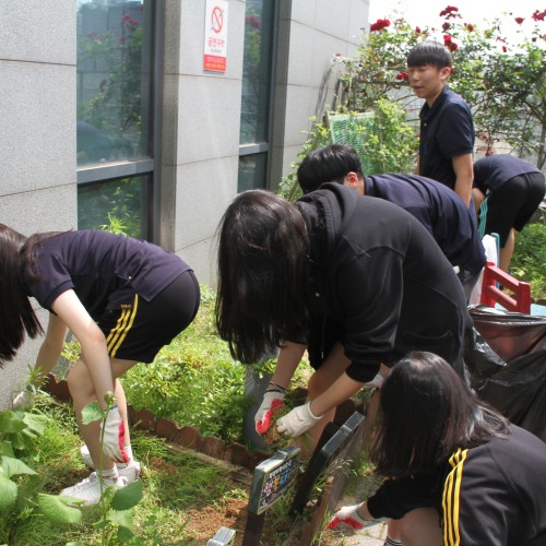 [지역개발] 홍천고 RCY와의 초여름 봉사활동