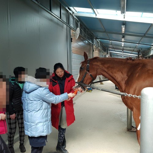 [주간보호]재활승마
