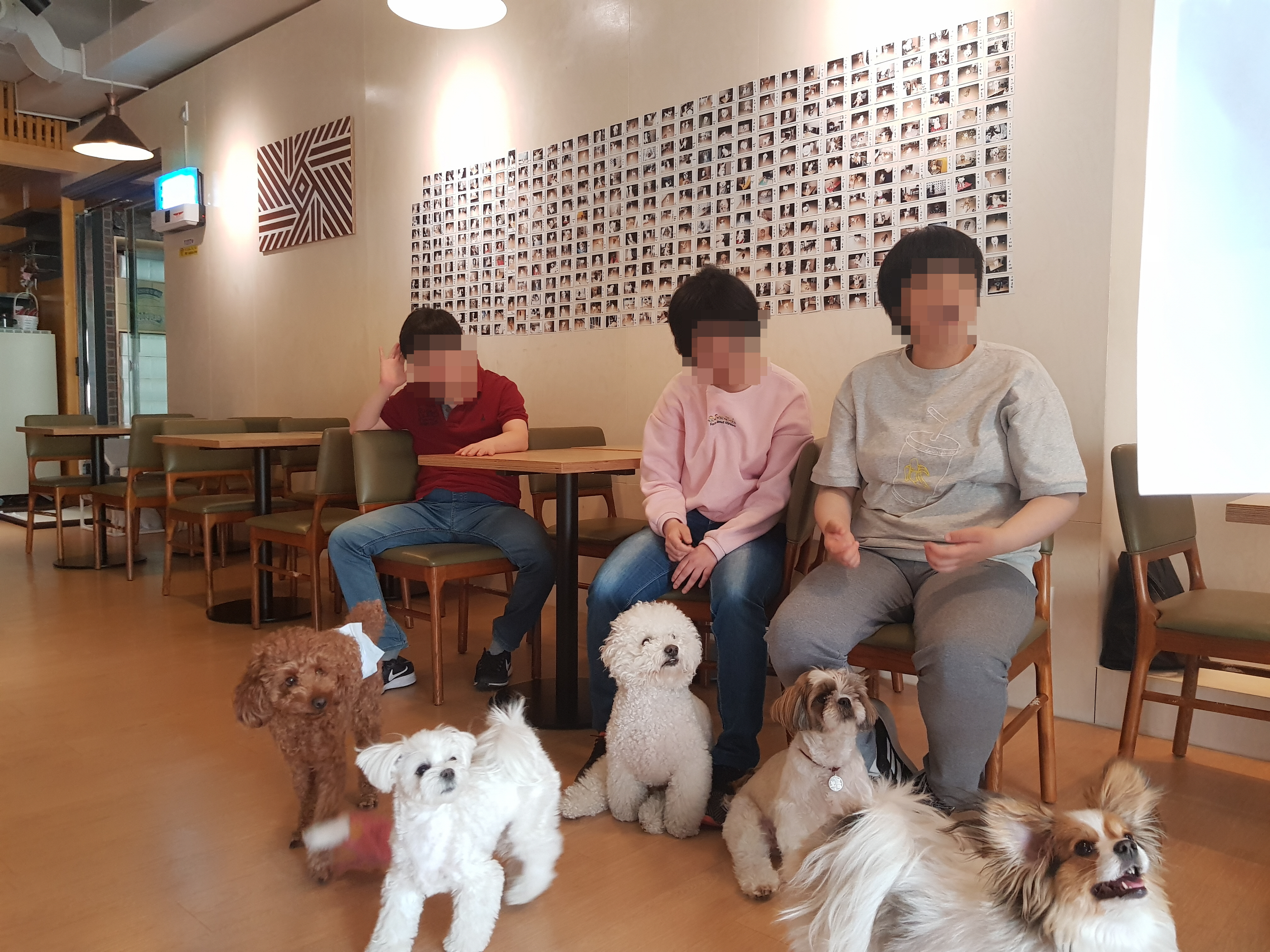 꾸미기_꾸미기_KakaoTalk_20190516_162547424.jpg