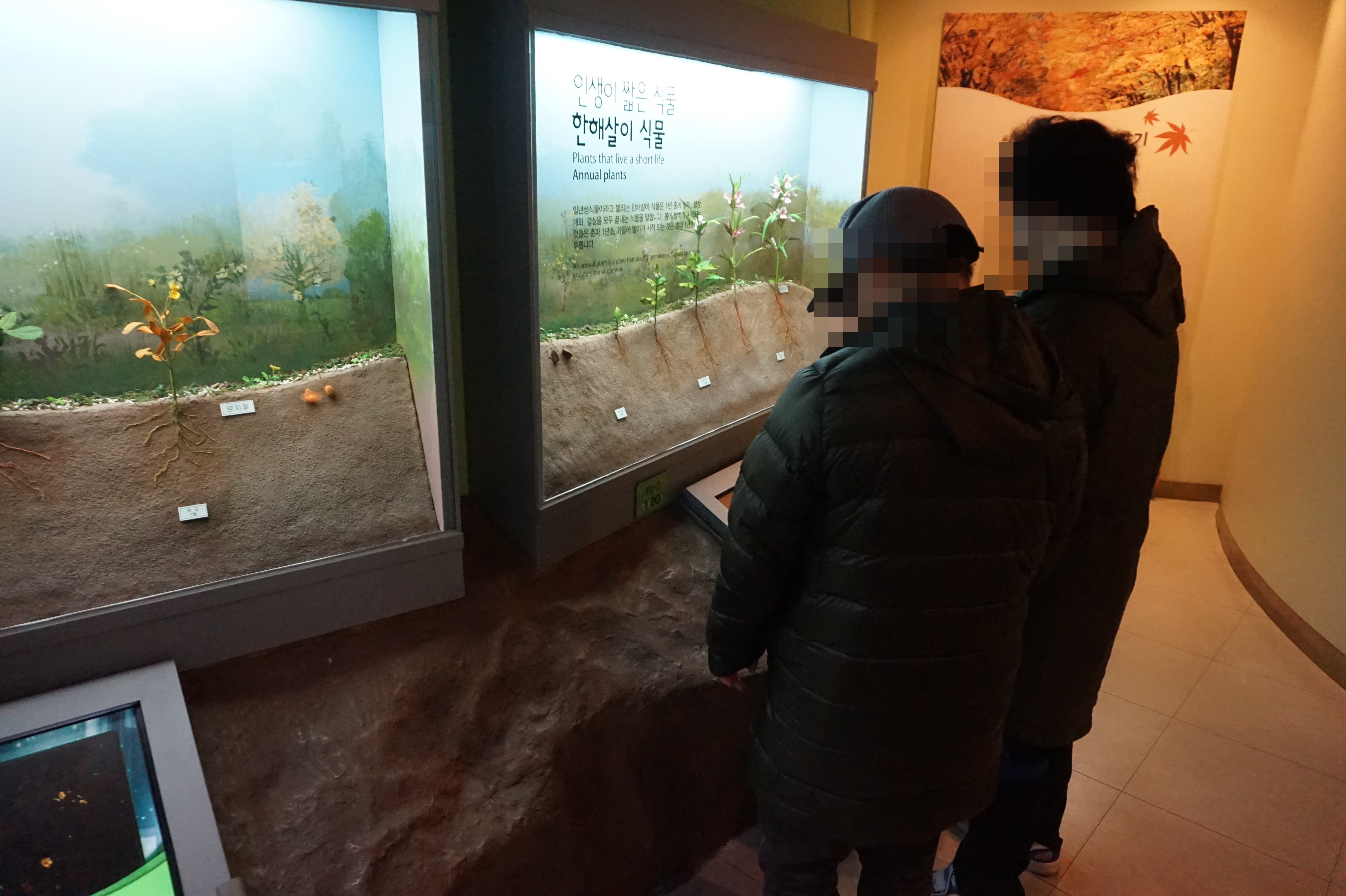 꾸미기_DSC01887.JPG