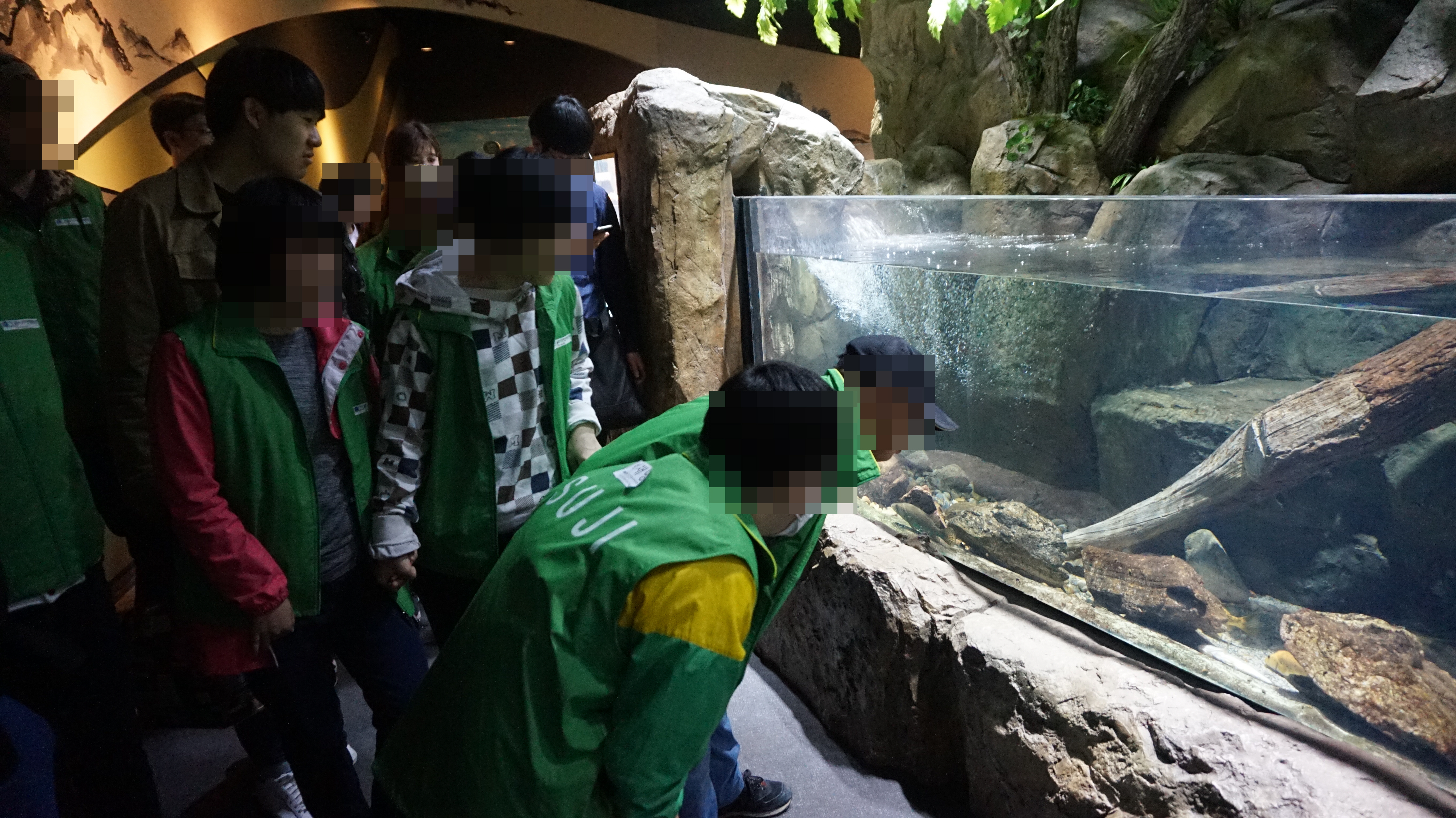 꾸미기_DSC08104.JPG
