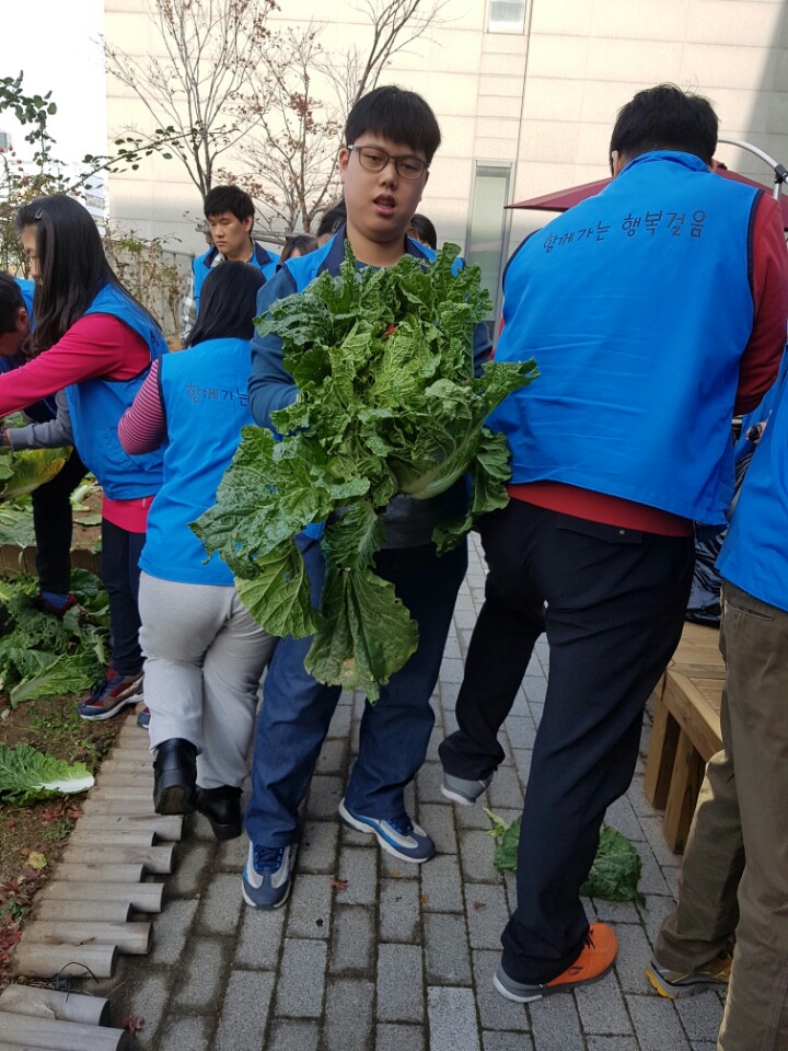 배추5.jpg