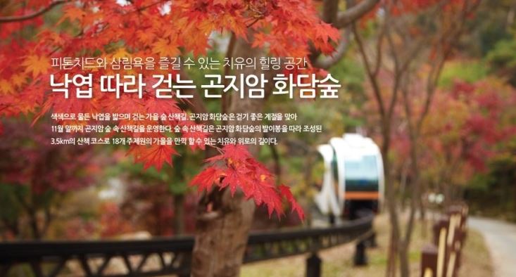화담.JPG